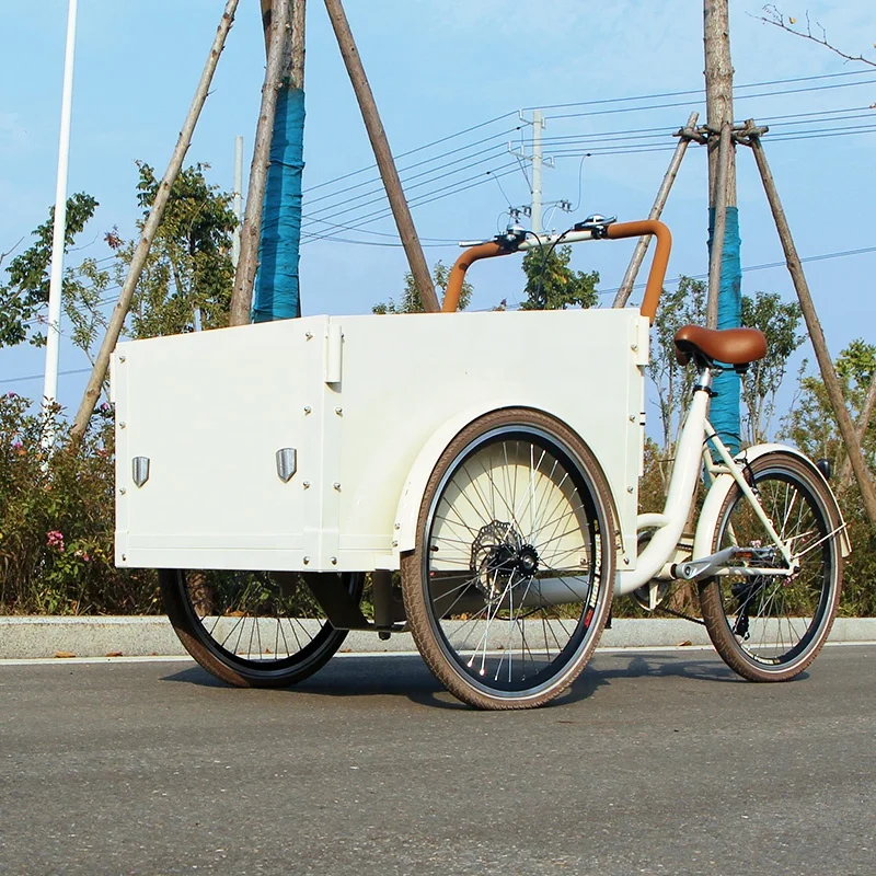 レトロペダル電動カーゴバイク3輪ダッチアダルト三輪車フロント