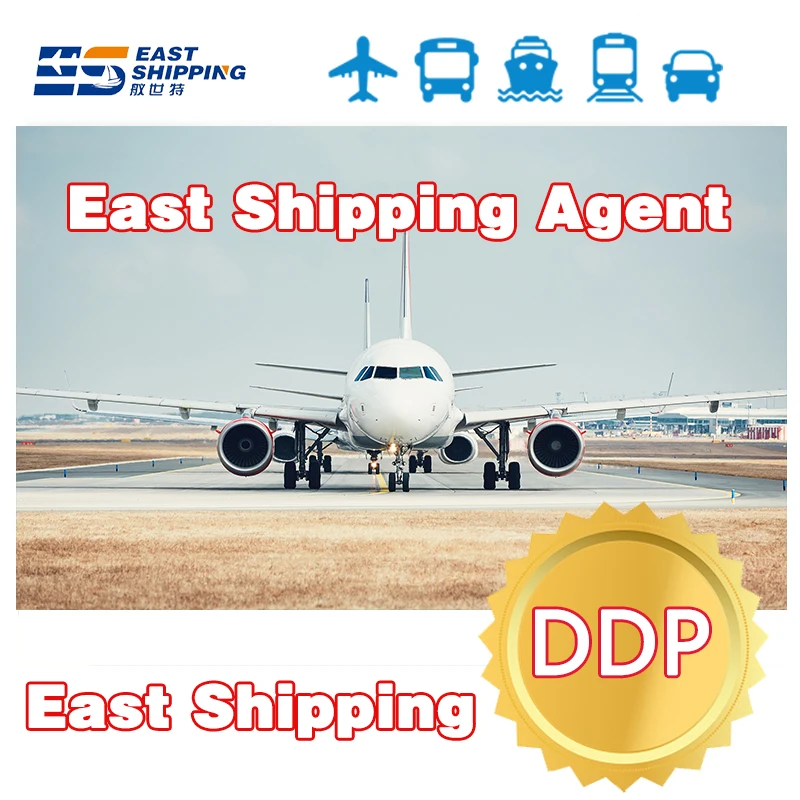 International Express Agencia De Transporte Cargo Agency Shipping Agent Freight Forwarder Transitario Ddp To Brazil