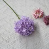 สีม่วง
