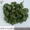 Bundle of macaron hydrangea HJX green