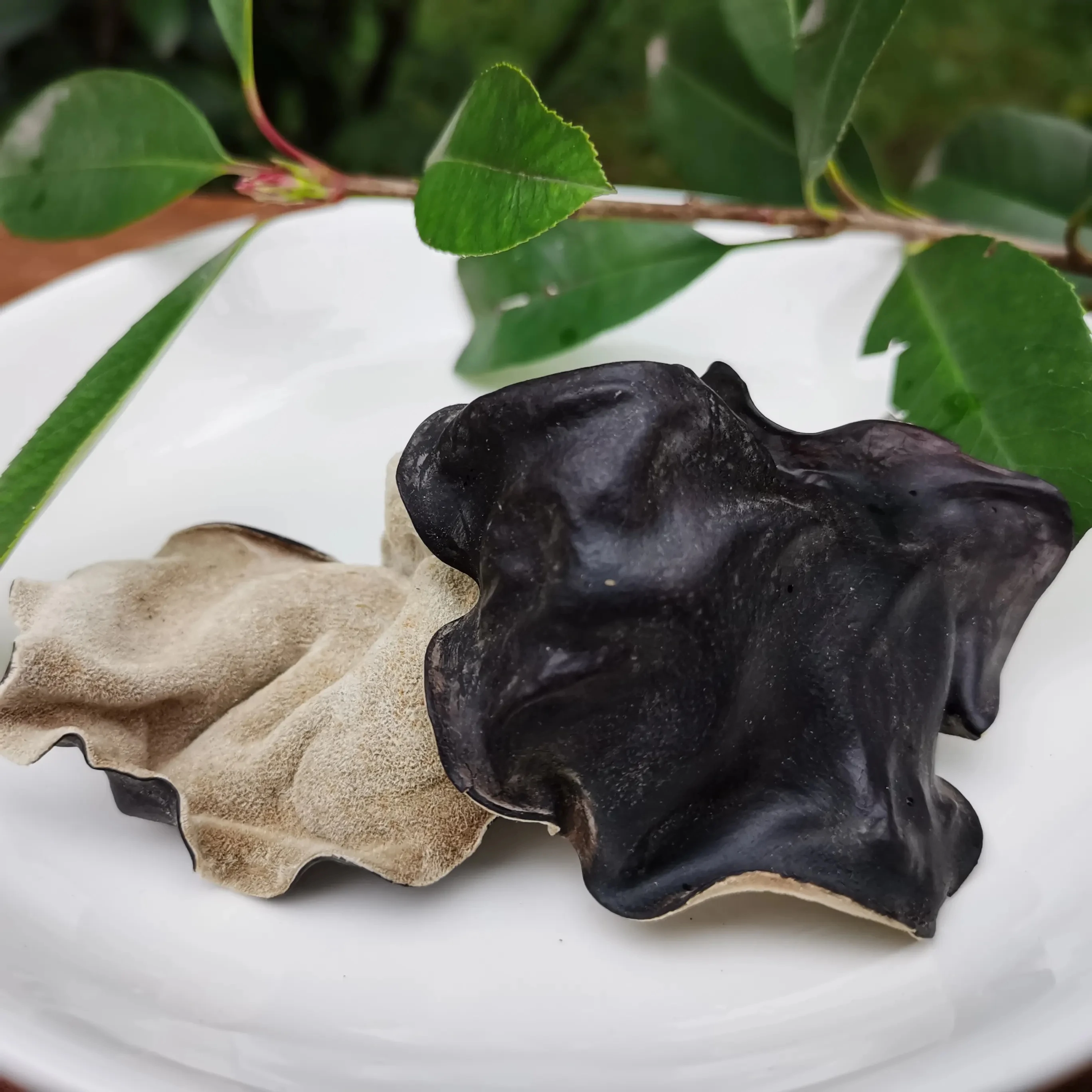 Huaran Yulin Guangxi китайские съедобные грибы оптовая продажа волосатая спина большие Аурикулярные аурикулы-Иуды сушеные черные грибки для еды