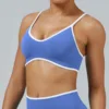 Reggiseno (Blu)