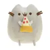 Gatto della pizza