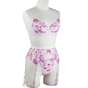 See Through Women Embroidery Underwear Sexy Women Sexy Sexy Bra and Brief Set