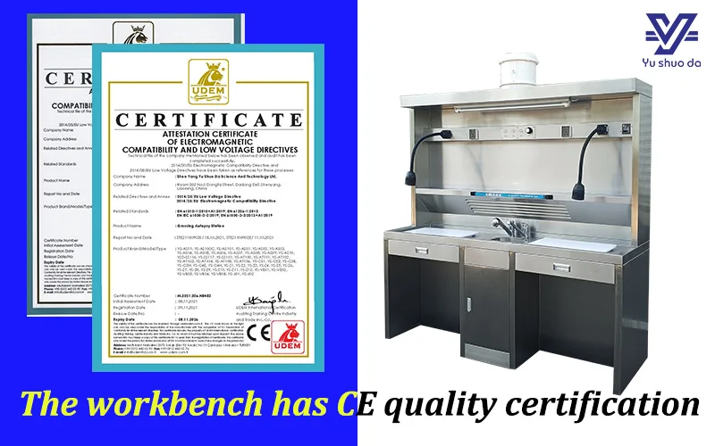 Dissection workstation