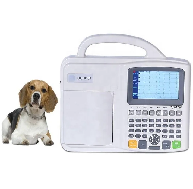 Veterinary Automatic Electrocardiograph Factory Direct 3 Channel Ecg Machine