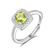 JH0289-4Olivine