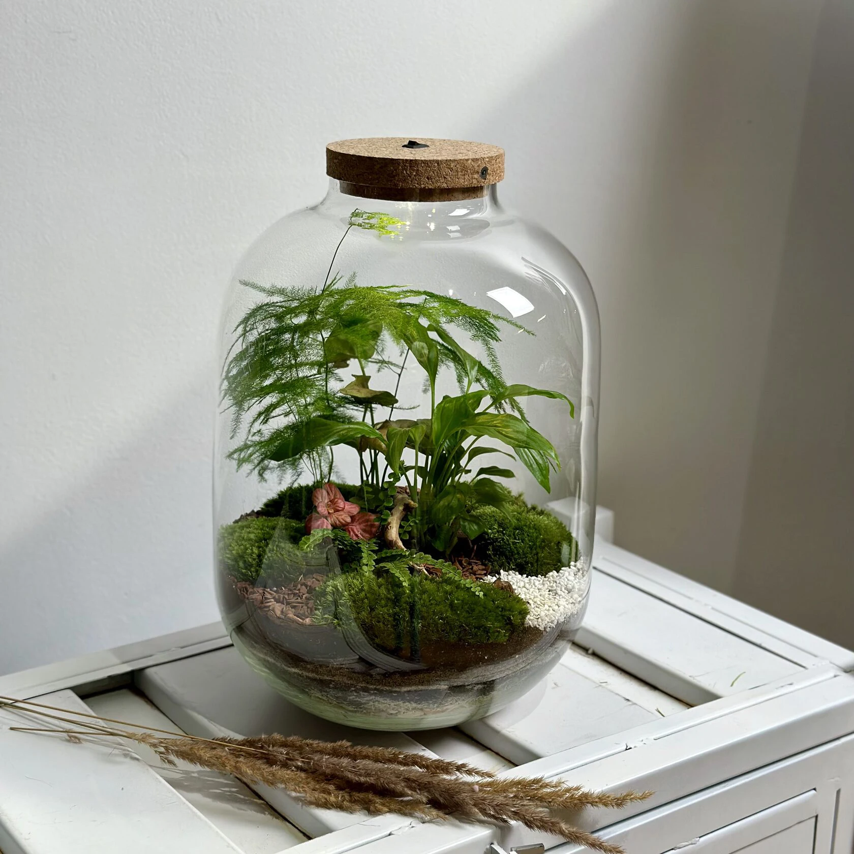 Yardwe 2er Set Pflanzenterrarium Vase Mit Holzdeckel – 8,9x8,9x8,9 Cm, Klar, Für Hydrokultur & Deko