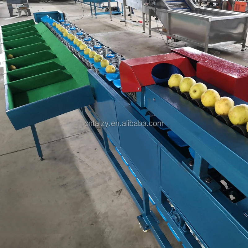 Customize Fruit Vegetable Grader Potato Mango Avocado Sorter Weight Grading Machine