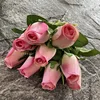 Rosa scuro