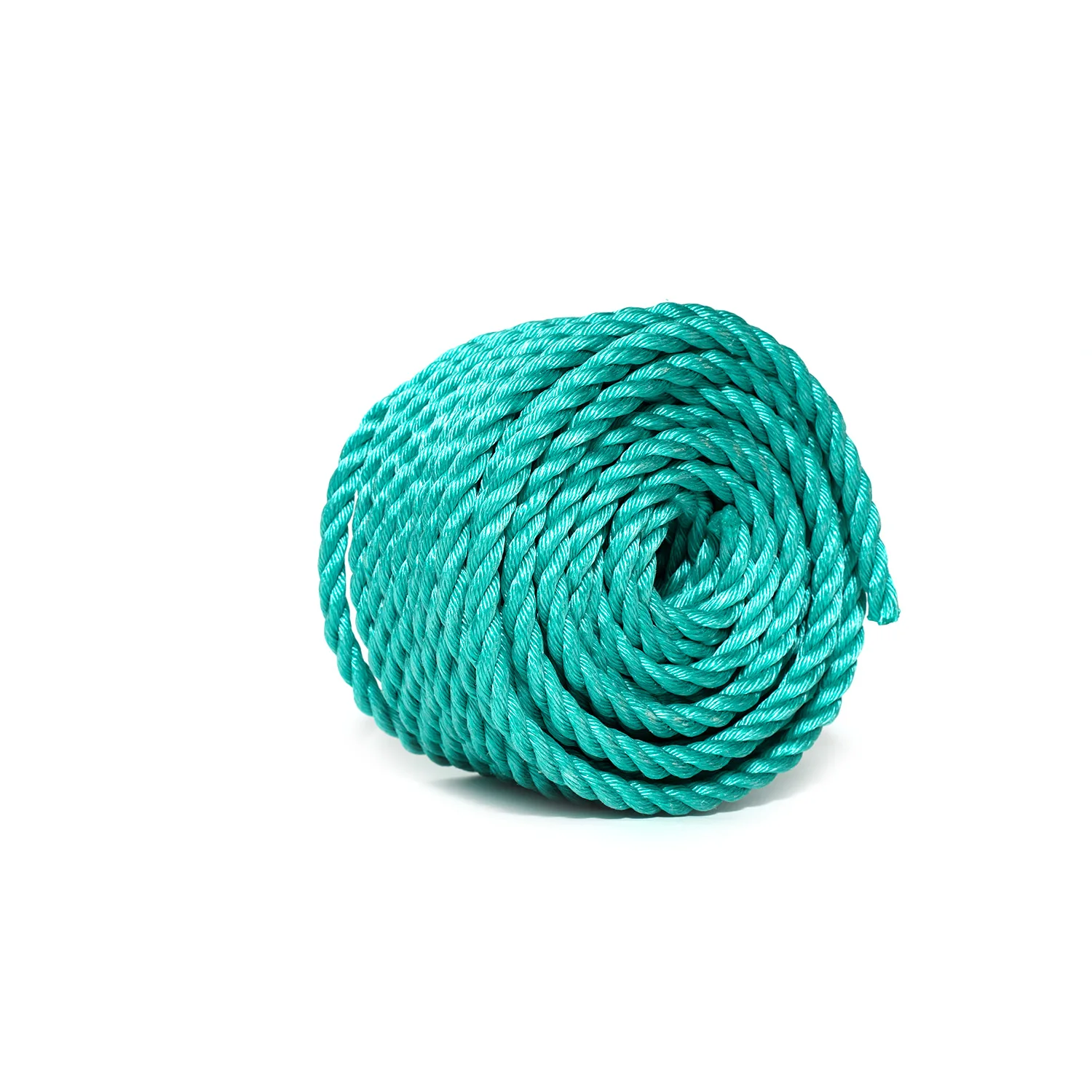 pp danline green (1).jpg
