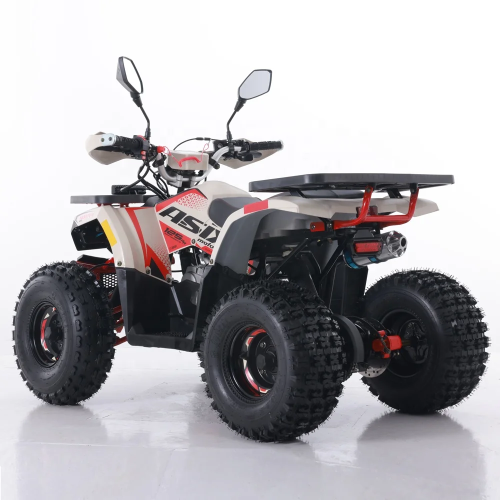 Tao Motor Automatic Chain Drive 2024 New ATV 125 Cheap Chinese Shopping Motorcycles From China Cc 1000 125CC Electric Start 2WD