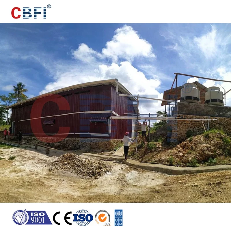 CBFI ABI100 Automatic Direct Cooling Block Ice Machine 10 Tons Indonesia Case