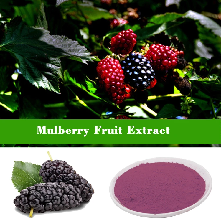 Mulberry Powder Wholesale | Bulk Mulberry Supplier Hb3dfbc7b137e4a47975938e33abfbc8dB