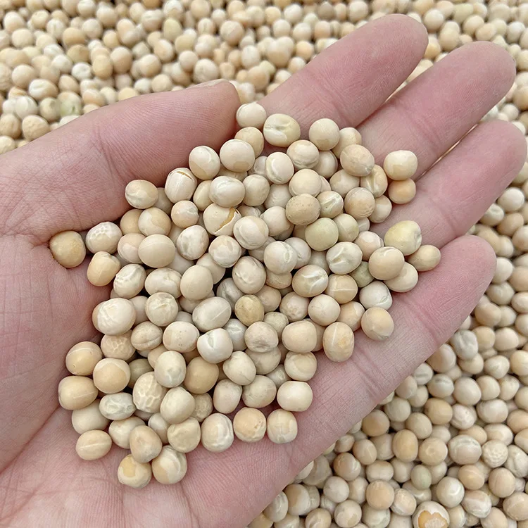 Wholesale White Peas Bean With Shell Grains Dry Bird Food Pigeon Feed