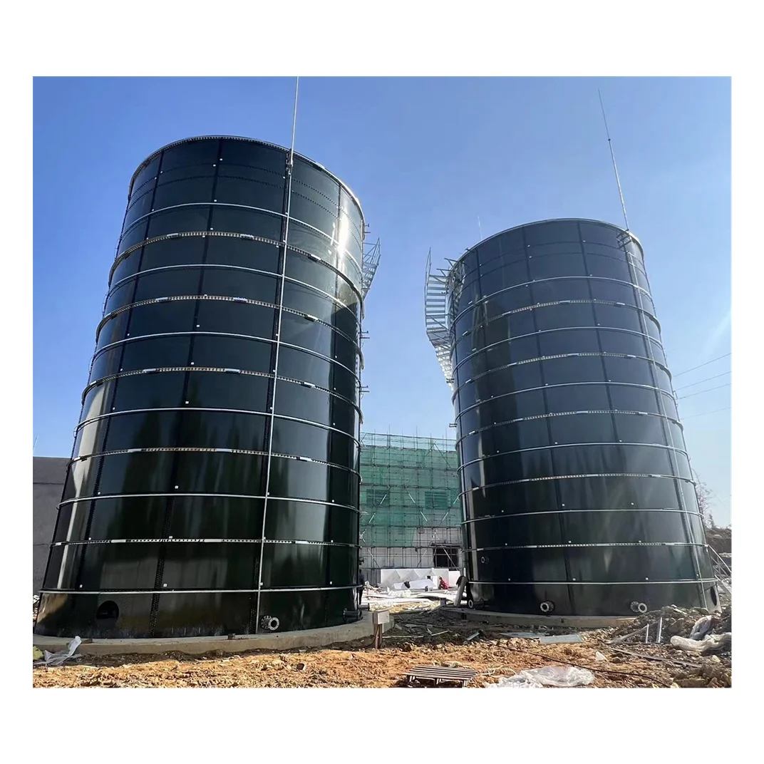 GFS Assembly Biodigester Biogas Plant Turning Human Waste/Livestock Manure&Agriculture Waste Into Cooking Gas and Electricity