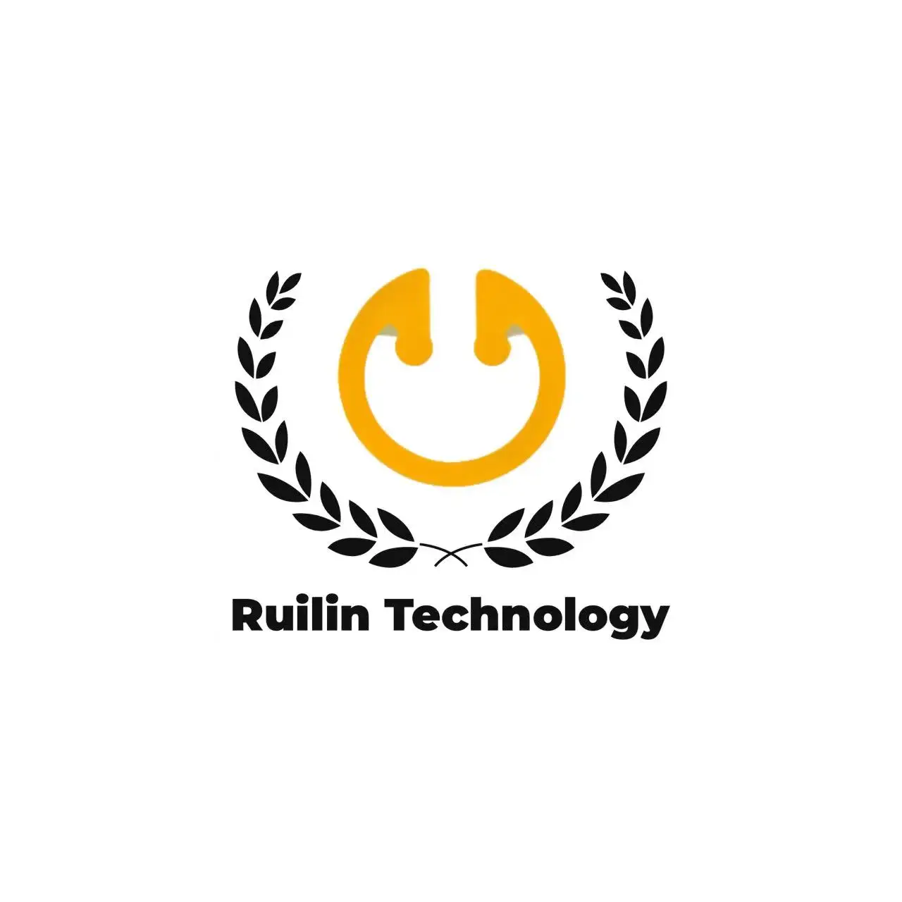 Company Overview Shenzhen Dairilin Technology Co., Ltd.