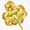 Foglia di Ginkgo dorata
