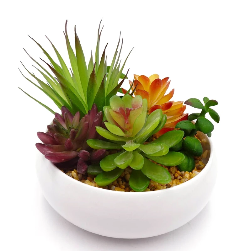 Factory Directly Mini Artificial Assorted Potted Succulents Plants