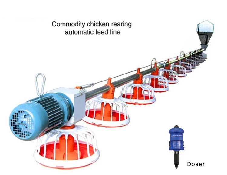 Complete Poultry House Turn Key Project Automatic Feeding Equipment Broiler Feed Line System