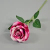 Pink 6