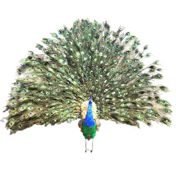 Beautiful Large Peacock Statue Home Decoration African Peacock Feathers ...