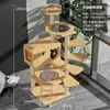 Climbing ladder cat P-14