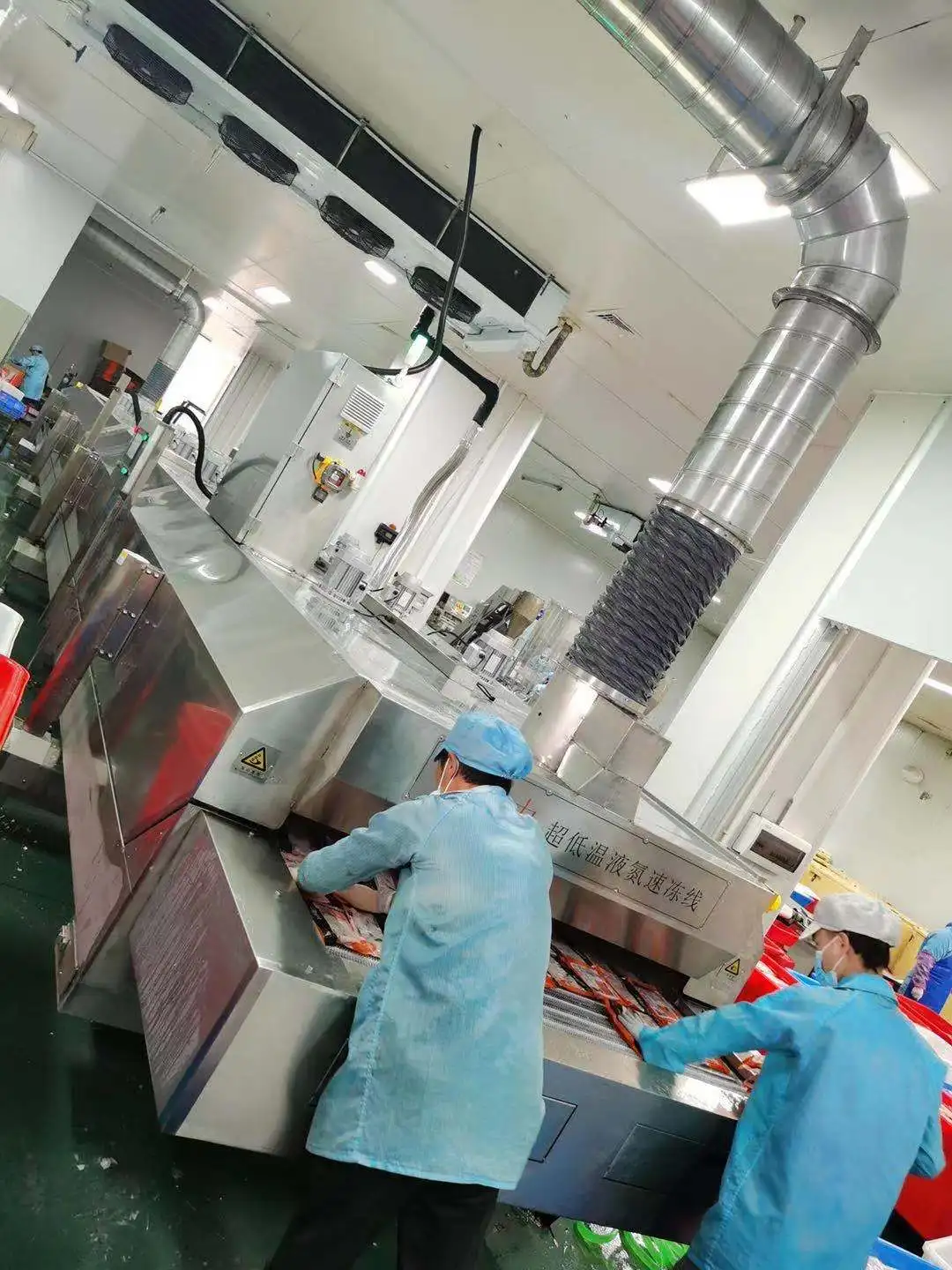 DJL Iqf Tunnel Freezer Tunnel Freezer Machine for Factory Processing Line Customer Favorite Instant Freezer