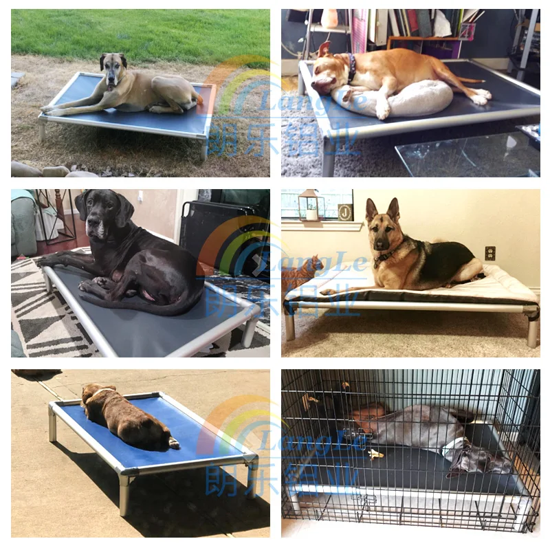 Chew Proof Elevated Aluminum Dog Bed for Outdoor Indoor Use