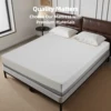 10-Inch Queen Mattress