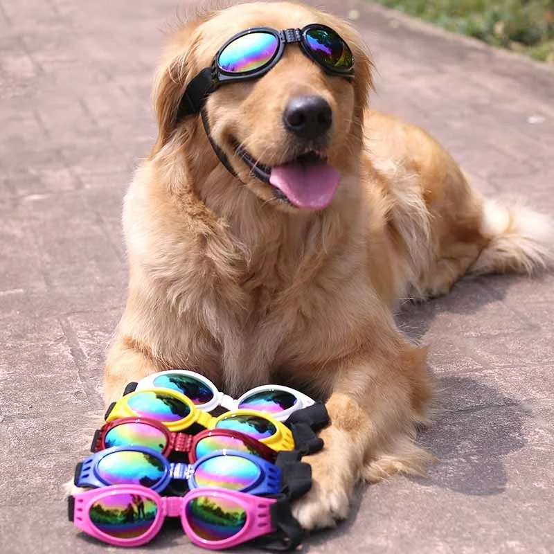 Fashion Pet Dog Glasses Prevent UV Pet Glasses for Cats Dog Sunglasses Reflection Eye Wear Dog Gifts Outdoor Pet Accessories - Image 3