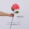 Sucette feuillue