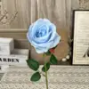Ty-singolo acacia rosa-blu