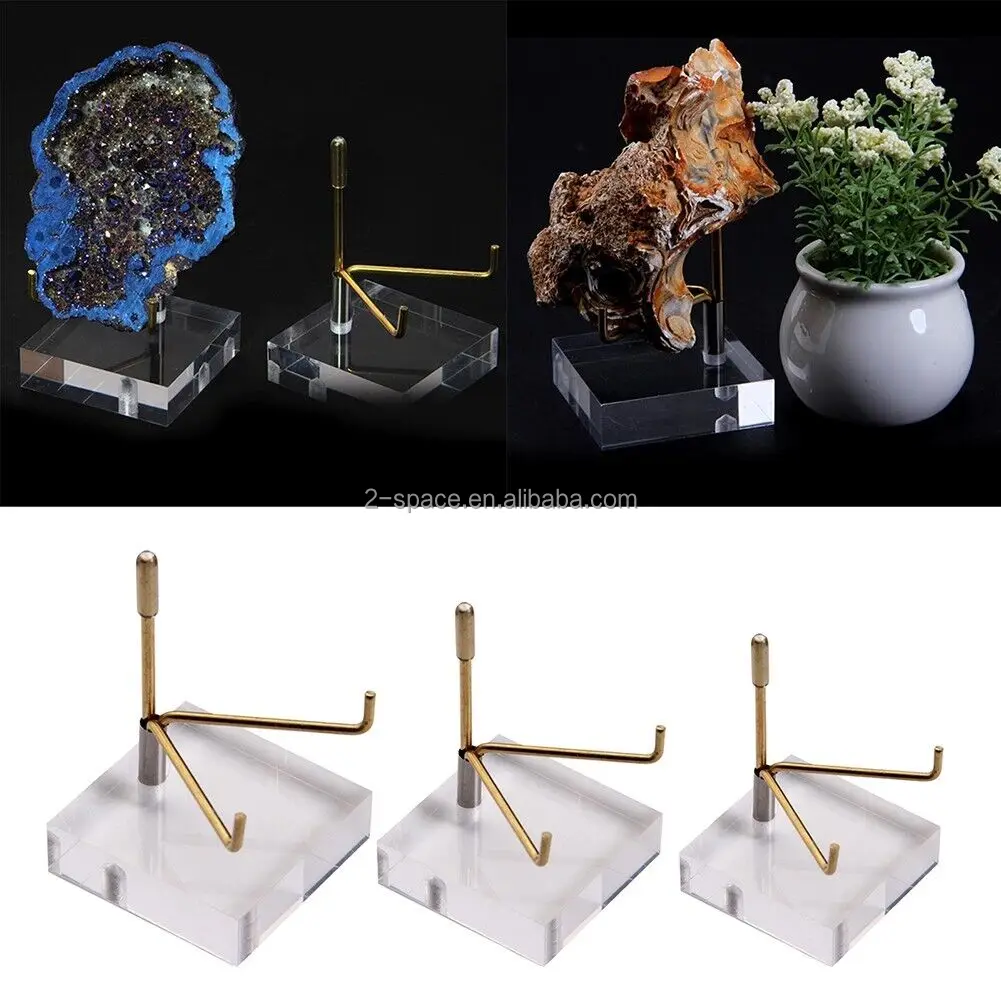 2X3 ''4ペグ化石ミネラルホルダー博物館貝殻用4プロングアクリル