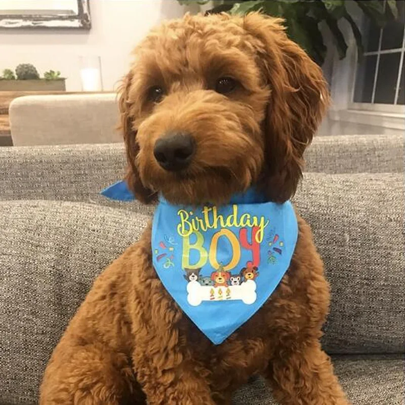 Cute Pet Hats Cap Birthday Pet Party Hat Dog Bandana Set