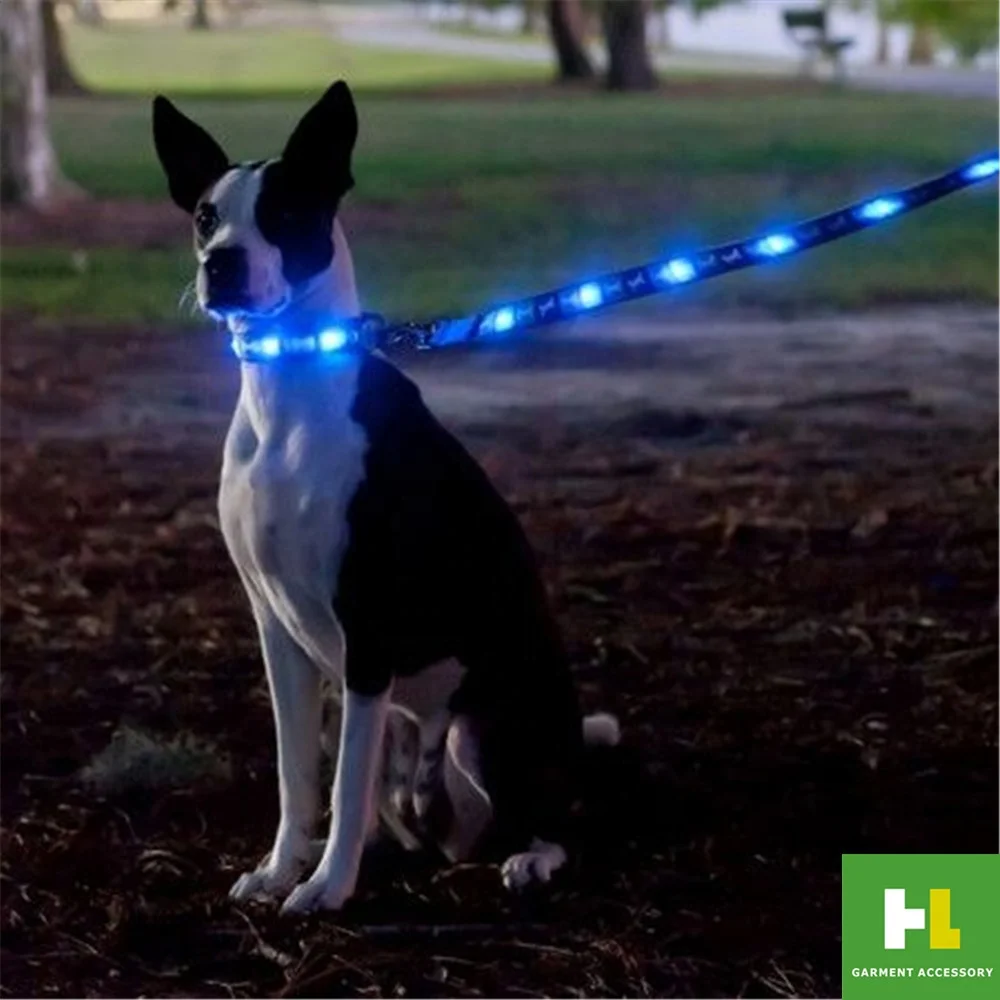 Led leash Clearance