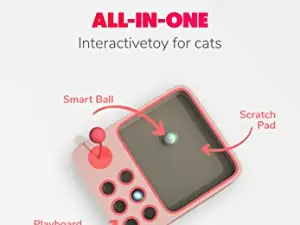 Cheerble Cat Ball, Board Game 