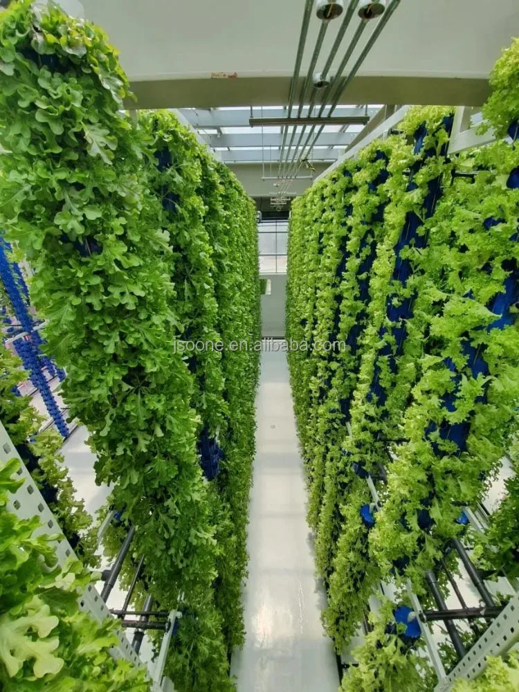 Factory Smart Farm Container Greenhouse Growing Shipping Container Farm Mushroom Grow Room