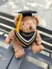 Orso dottorale in abito accademico marrone scuro