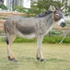 as photo