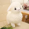 little sheep