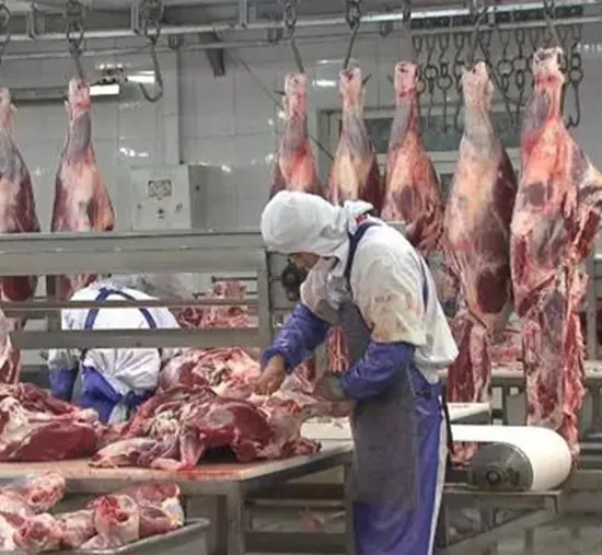 Cattle Slaughter Line Beef Processing Equipment Industrial Stunning System Meat Plant Machinery