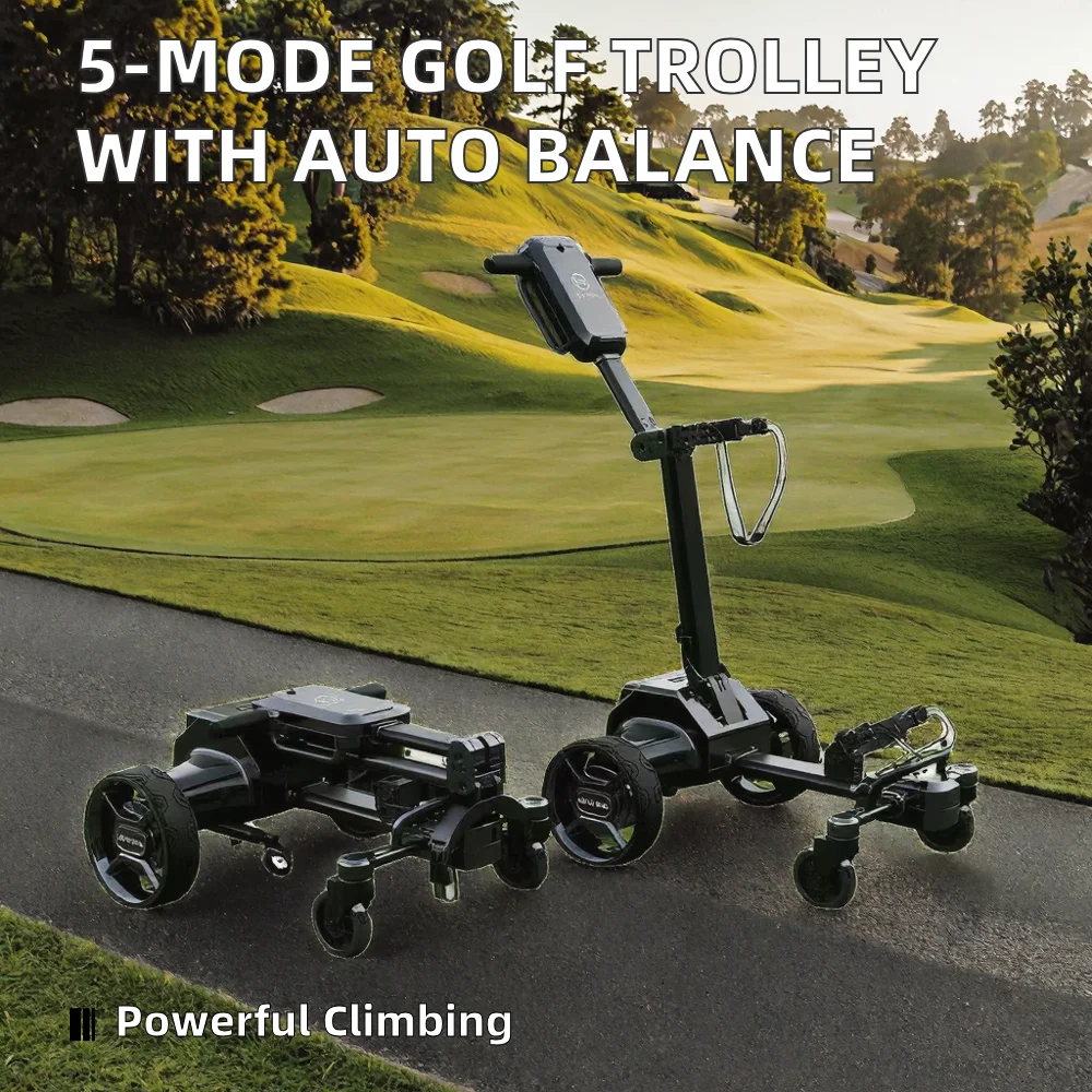 Customized Remarkable G5 Electric Golf Carts - Smart Following