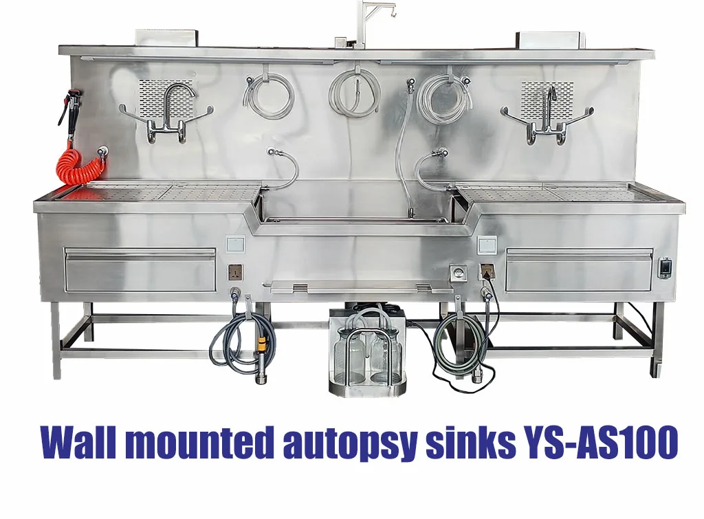 wall mounted autopsy sinks