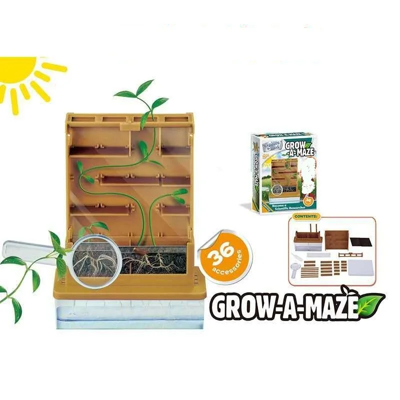 New 2023 Toys Botany Plant Growing Maze Kit Fun Home Lab Sprout Phototropism Project Educational