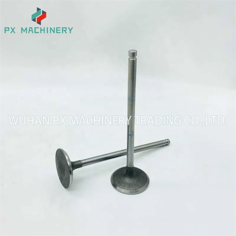 13201-3RC0A 132013RC0A Engine Valve Intake Other Auto Parts for Nissan L4 1.8L (1798cc) DOHC 16 VALVE Twin VVT MRA8DE