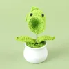 Plantes en pot Peashooter