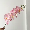 02-Rosa claro
