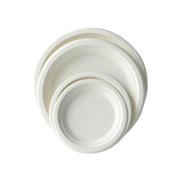 Custom Disposable Sugarcane Cardboard Bento Box Fast Food Container