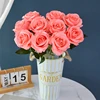 Rosa fiori di pesco